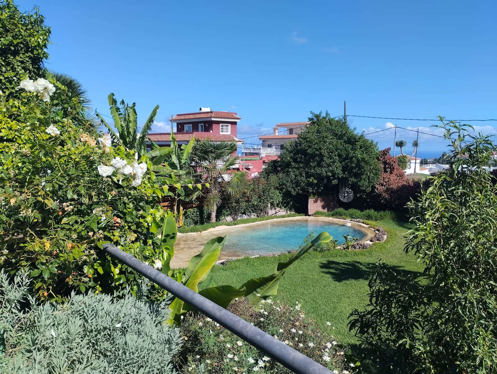 Yoga Canarias - Clases en Icod de los Vinos & Masajes en Garachico — yoga-studio en Garachico — 3