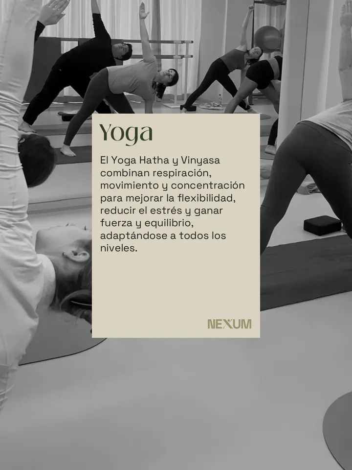 Nexum — wellness-studio en Valencia — 4