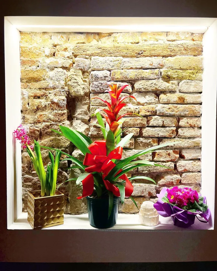 Centro Energym Venezia — pilates-studio a Venezia-Murano-Burano, Venezia — 3