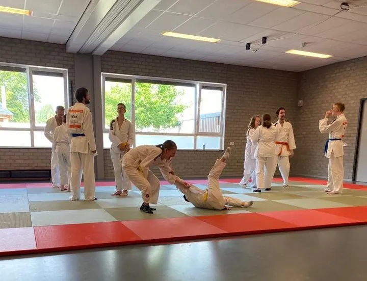 Shogaisha Judoschool Tilburg — Vechtsport in Groenewoud, Tilburg