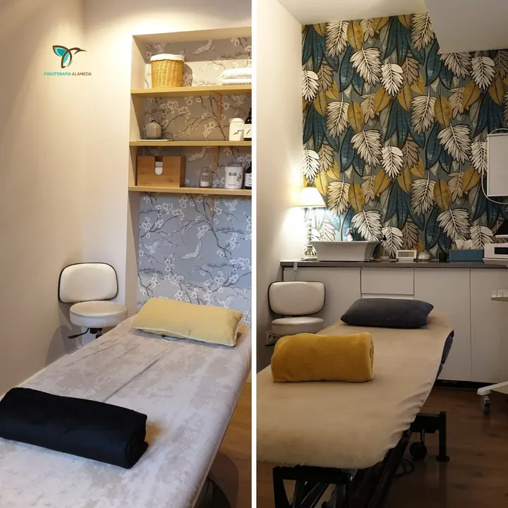 Fisioterapia Alameda — entrenamiento personal-studio en Madrid — 5