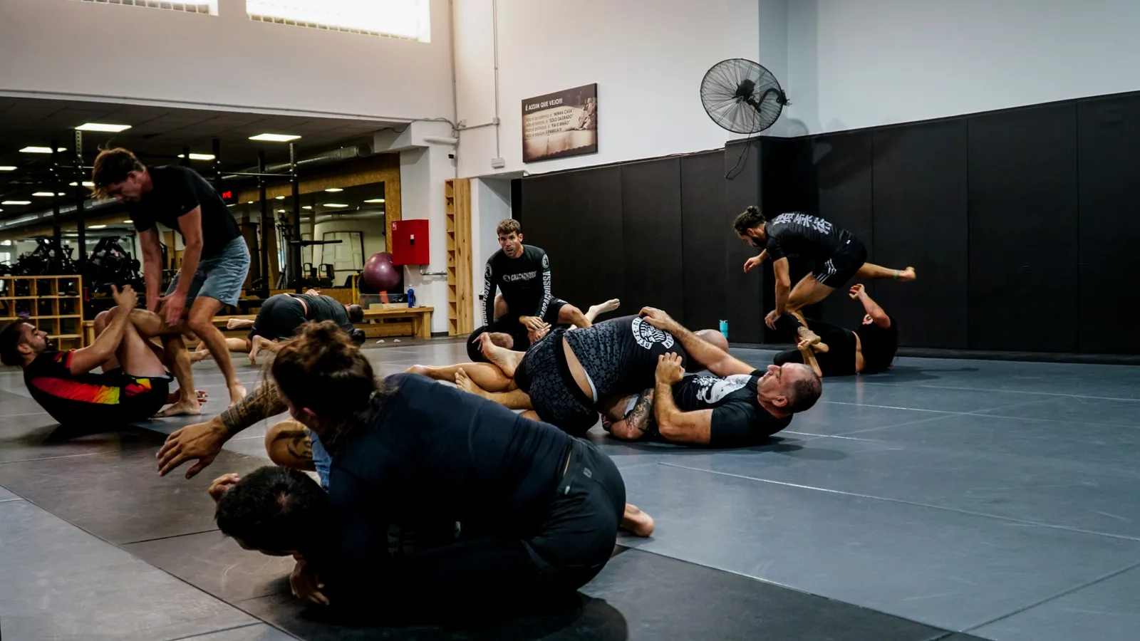 Academia Barcelona Jiu-Jitsu — kampsport-studio i Sant Martí, Barcelona — bild 2