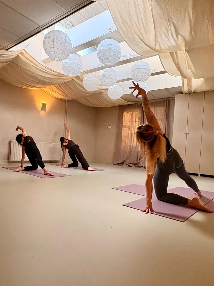 Homi Kleverpark — yoga-studio in Frans Halsbuurt, Haarlem — 2