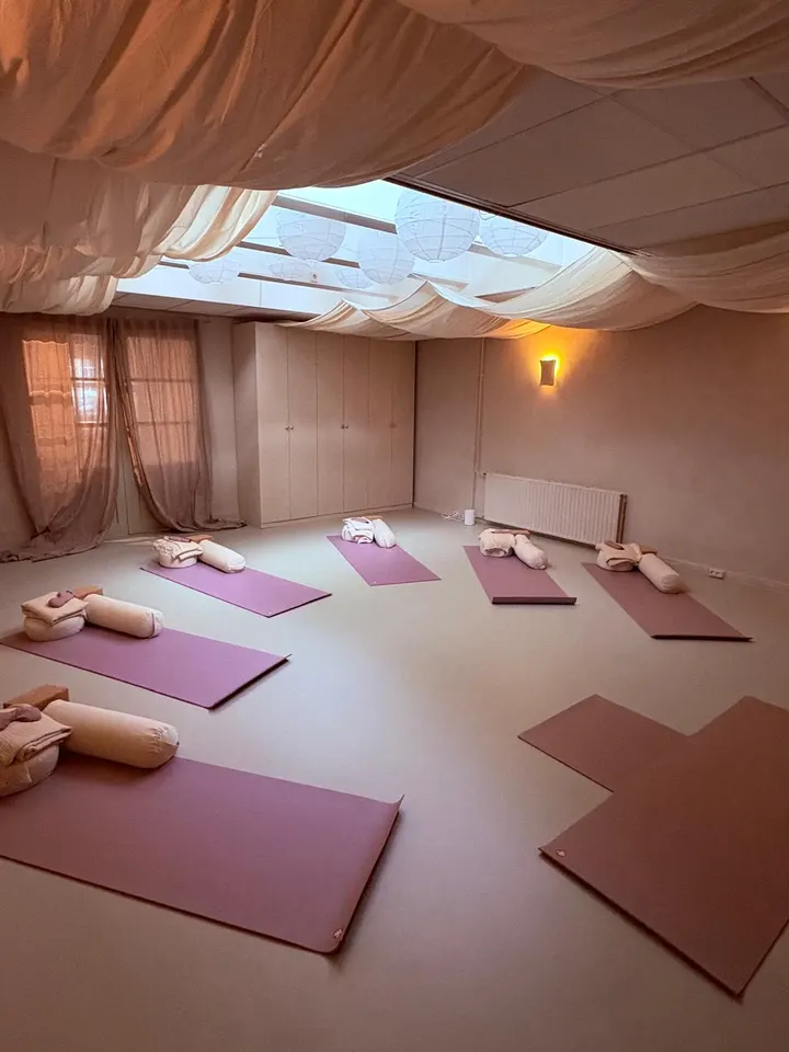 Homi Kleverpark — yoga-studio in Frans Halsbuurt, Haarlem — 3