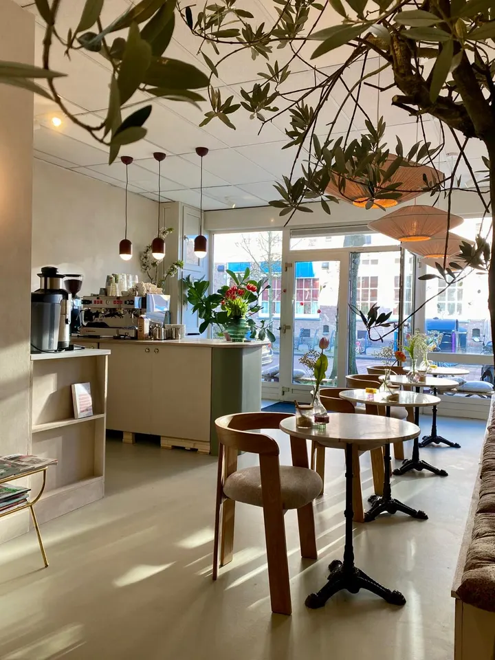 Homi Kleverpark — yoga-studio in Haarlem — 4