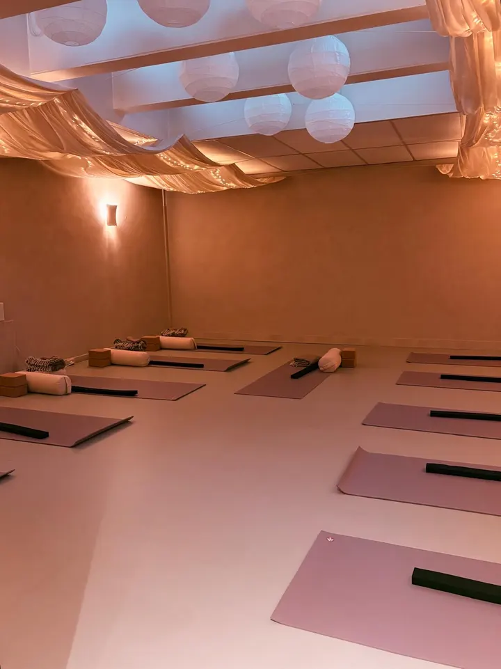Homi Kleverpark — yoga-studio in Haarlem — 6