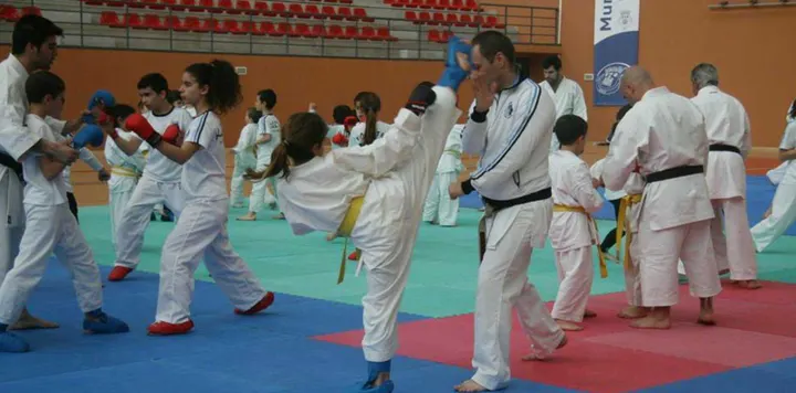 Sakura — Artes marciais em Vilamoura, Quarteira