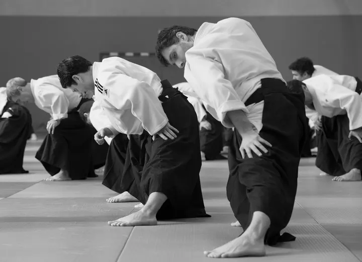 Escuela Municipal De Aikido — Martial Arts en La Albericia, Santander