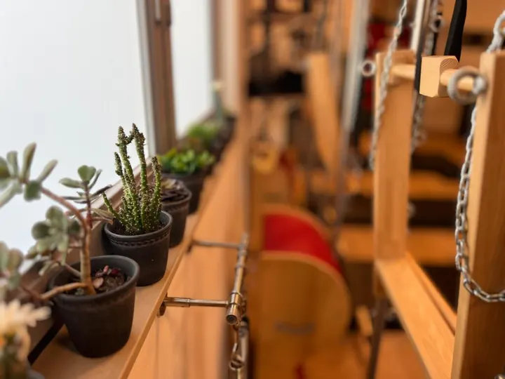Classical Pilates by Ernie — pilates-studio in 's-Hertogenbosch — 4