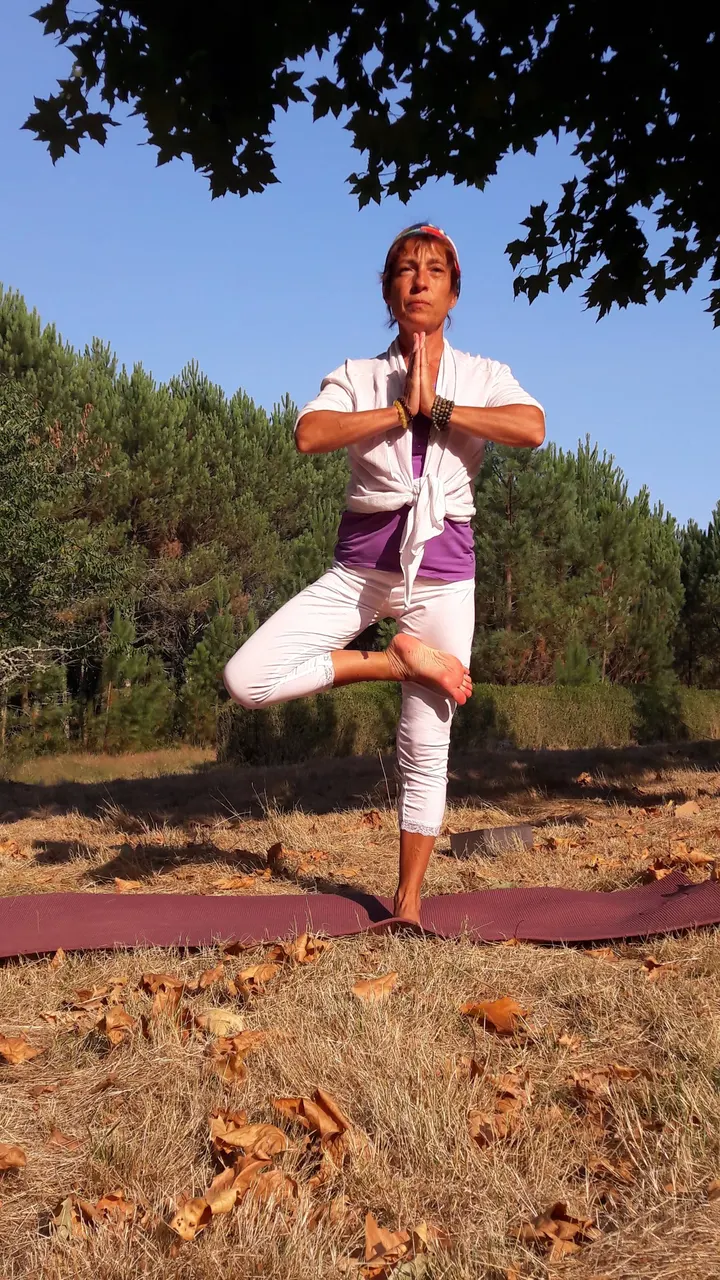 Nath Yoga 47 — yoga-studio à Saint-Antoine-de-Ficalba — 3