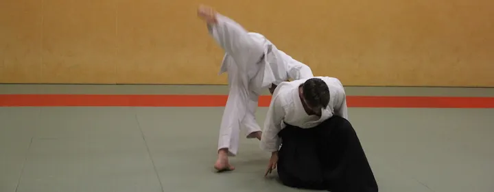 Aikido-Almere — vechtsport-studio in Almere Stad, Almere — 3