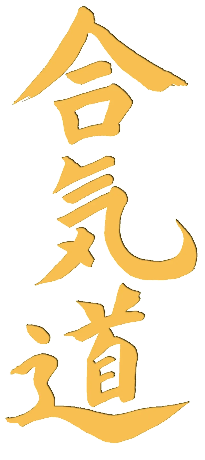 Budo Society Musashi — martial arts-studio in Laira, Exeter — 3