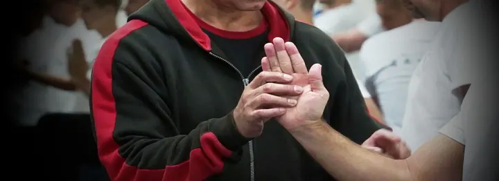 TA WingTsun Magdeburg — Kampfsport in Alt Salbke, Magdeburg