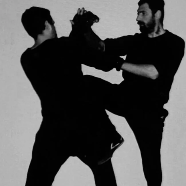 Kampfkunstschule Sifu Miladin e.V. — kampsport-studio i München — 3