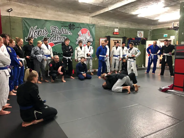 Nexus Fighter Academy — Kampfsport in Hamm, Hamburg