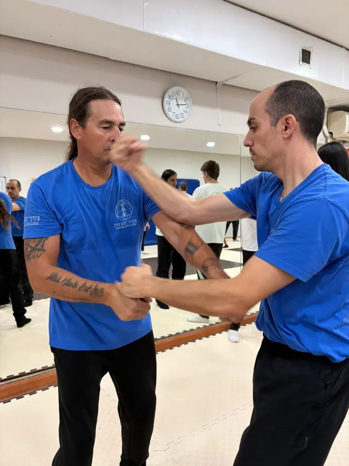 Centro Li Jing — entrenamiento personal-studio en Las Lomas, Guadalajara — 3