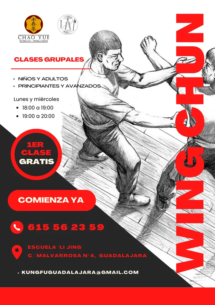 Centro Li Jing — entrenamiento personal-studio en Guadalajara — 4