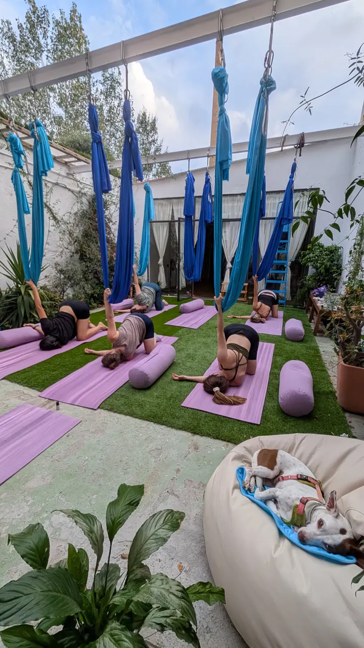 oasis.colibri — aerial-studio en Sant Martí, Barcelona — 2