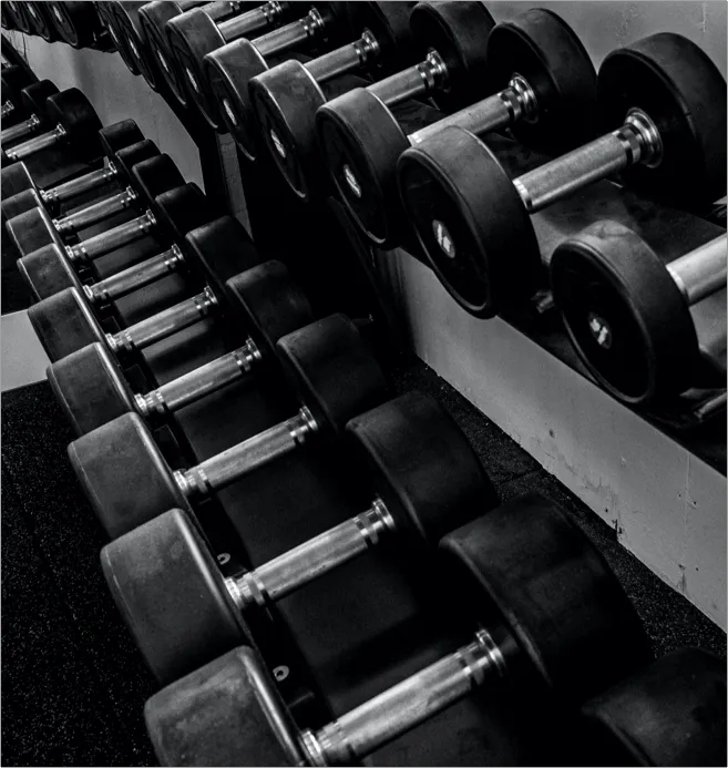 Fitness Lounge Oberpleis — träningsstudio i Bonn — 2
