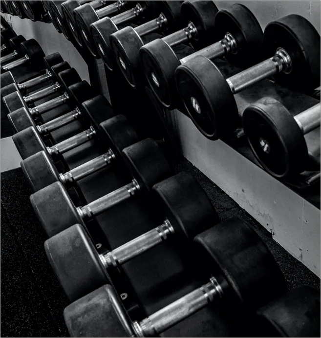 Fitness Lounge Oberpleis — Fitnessstudio in Oberpleis, Bonn