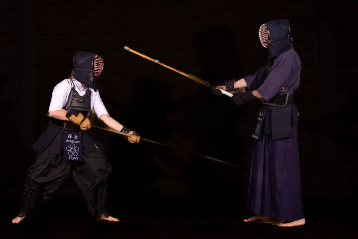 Sakura-Kai — Vechtsport in Vleuten - De Meern, Utrecht