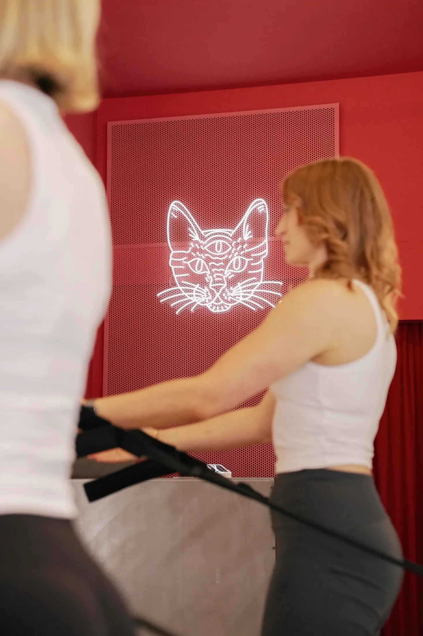 Flying Cat - Reformer Pilates — pilates-studio i Seefeld — 5