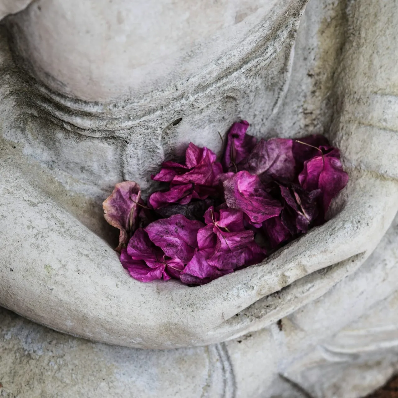 Yoga Samadi - Internat. Zentrum Sülz — yoga-studio i Köln — 2
