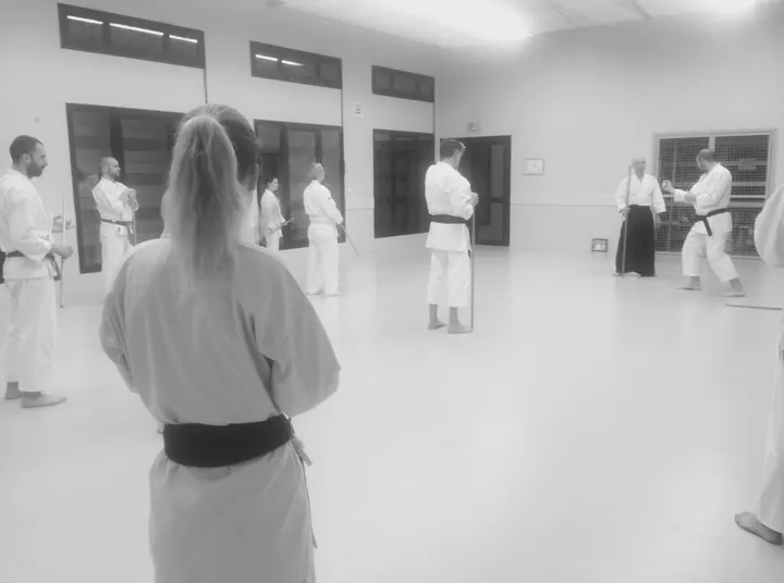 Asahi Dojo Rennes — arts martiaux-studio à Rennes — 3