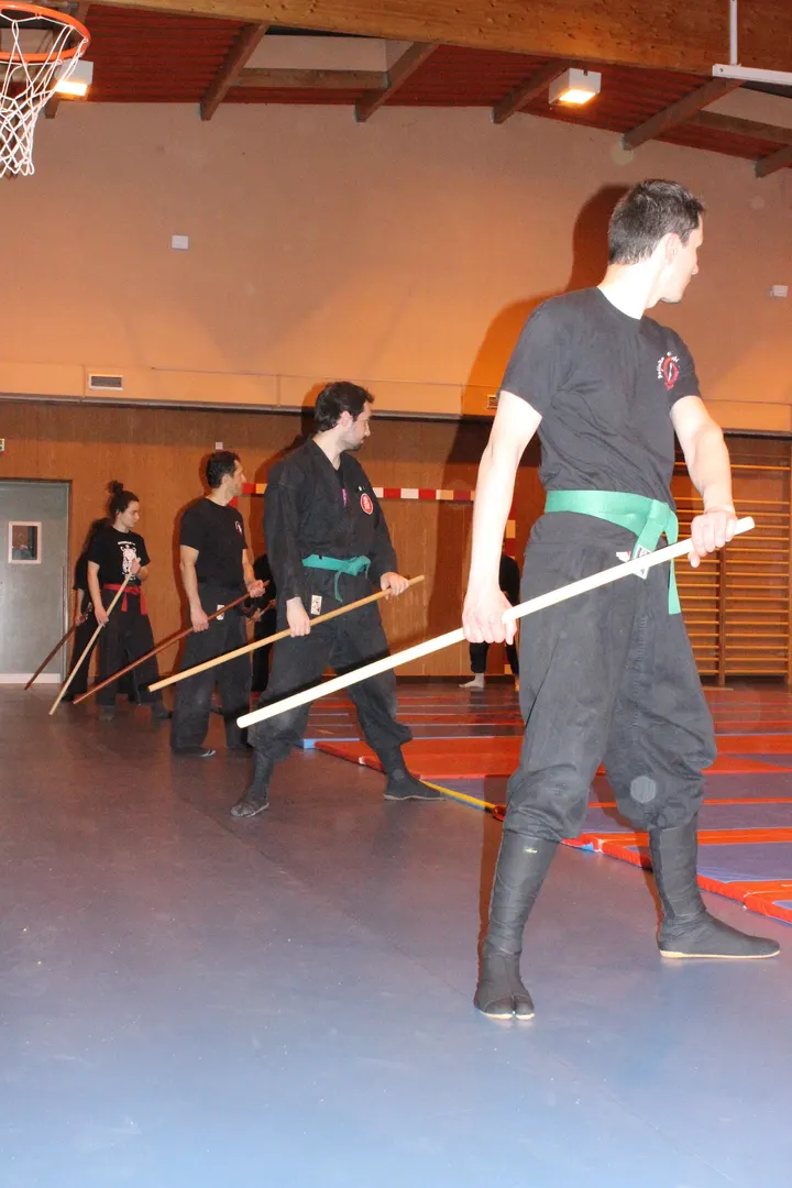 Bujinkan Shinobi Dojo Ninjutsu — arts martiaux-studio à Montmuzard, Dijon — 3