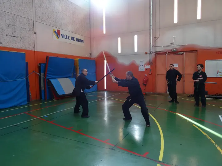 Bujinkan Shinobi Dojo Ninjutsu — Arts martiaux à Montmuzard, Dijon