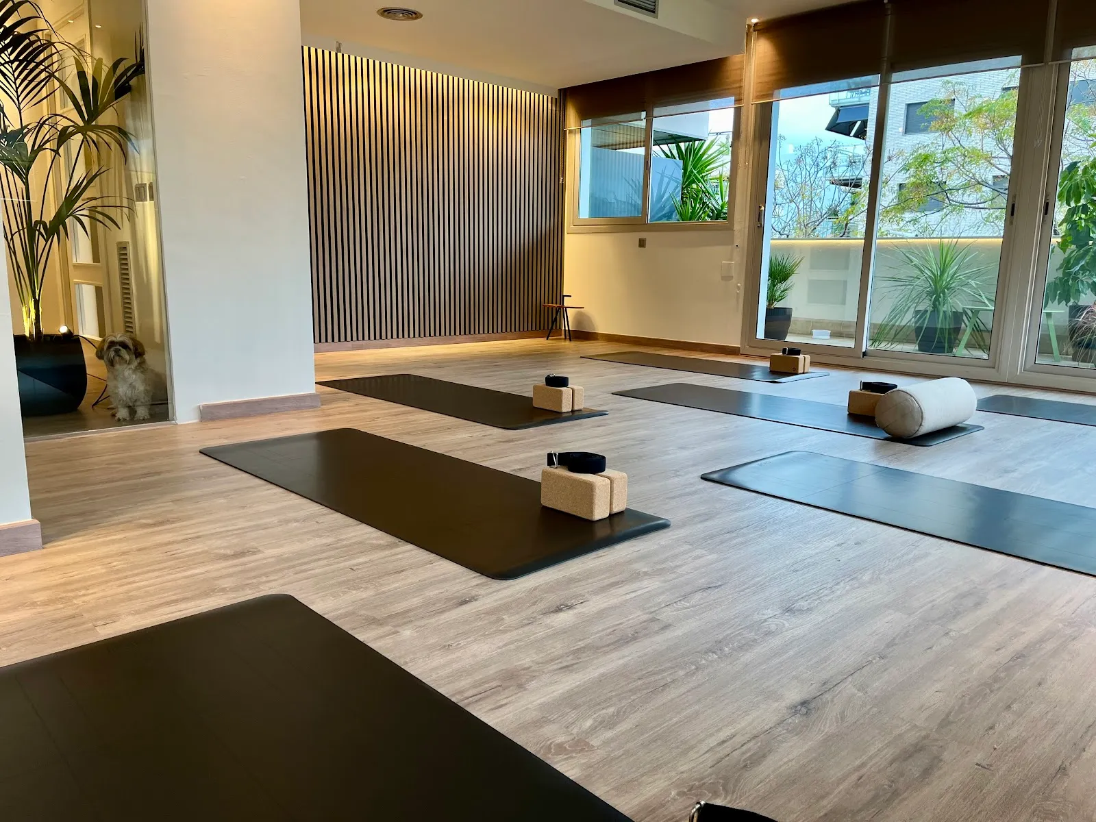 DIMENSION PILATES — pilates-studio en Sitges — 3
