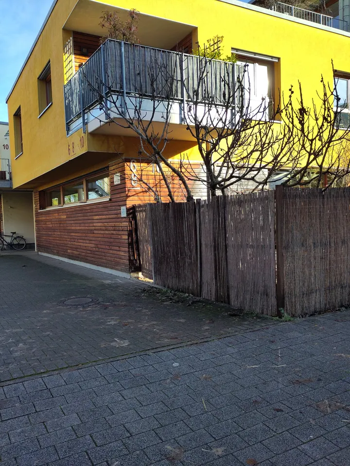 Iyengar Yoga Freiburg — yoga-studio in Freiburg im Breisgau — 5