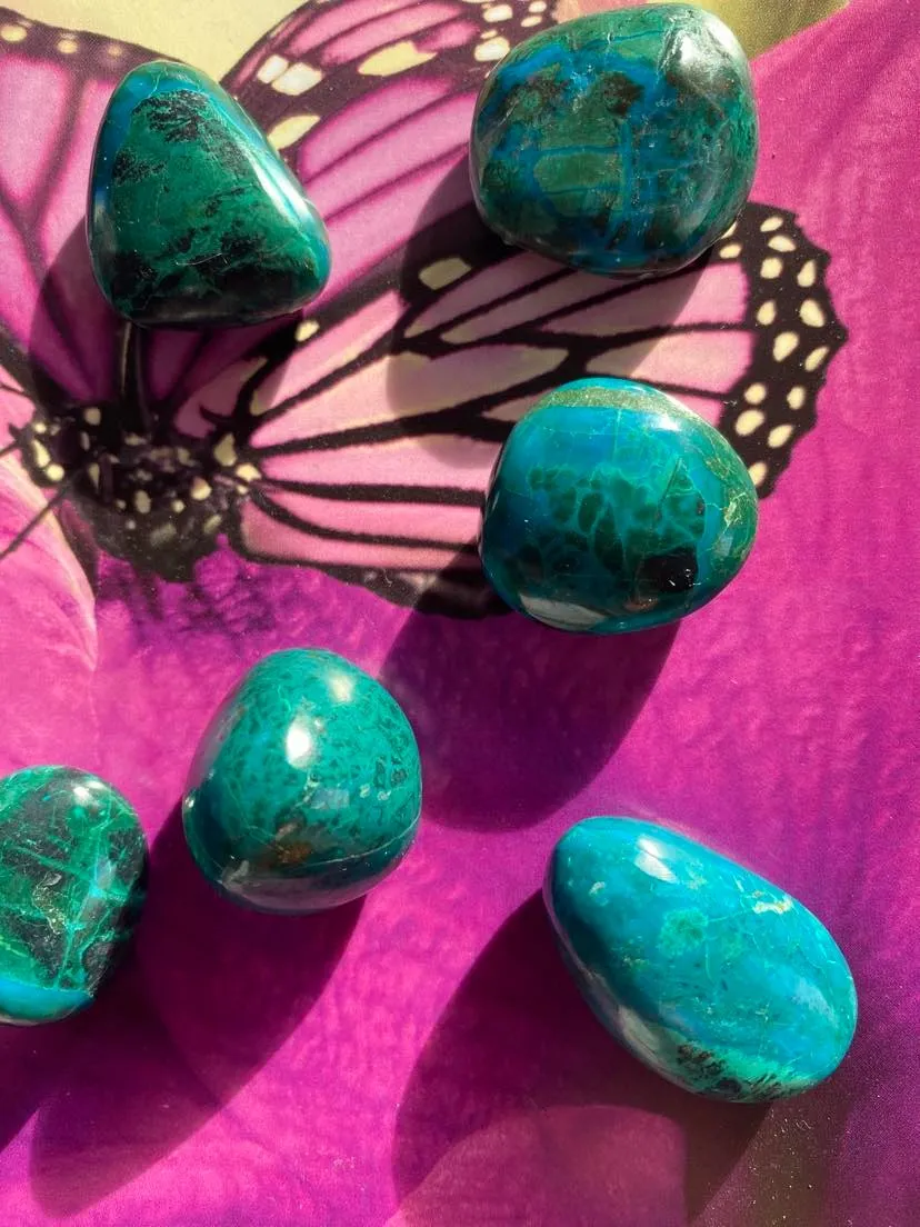 Reko Yoga & Reiki — yoga-studio i Vilshult — 3