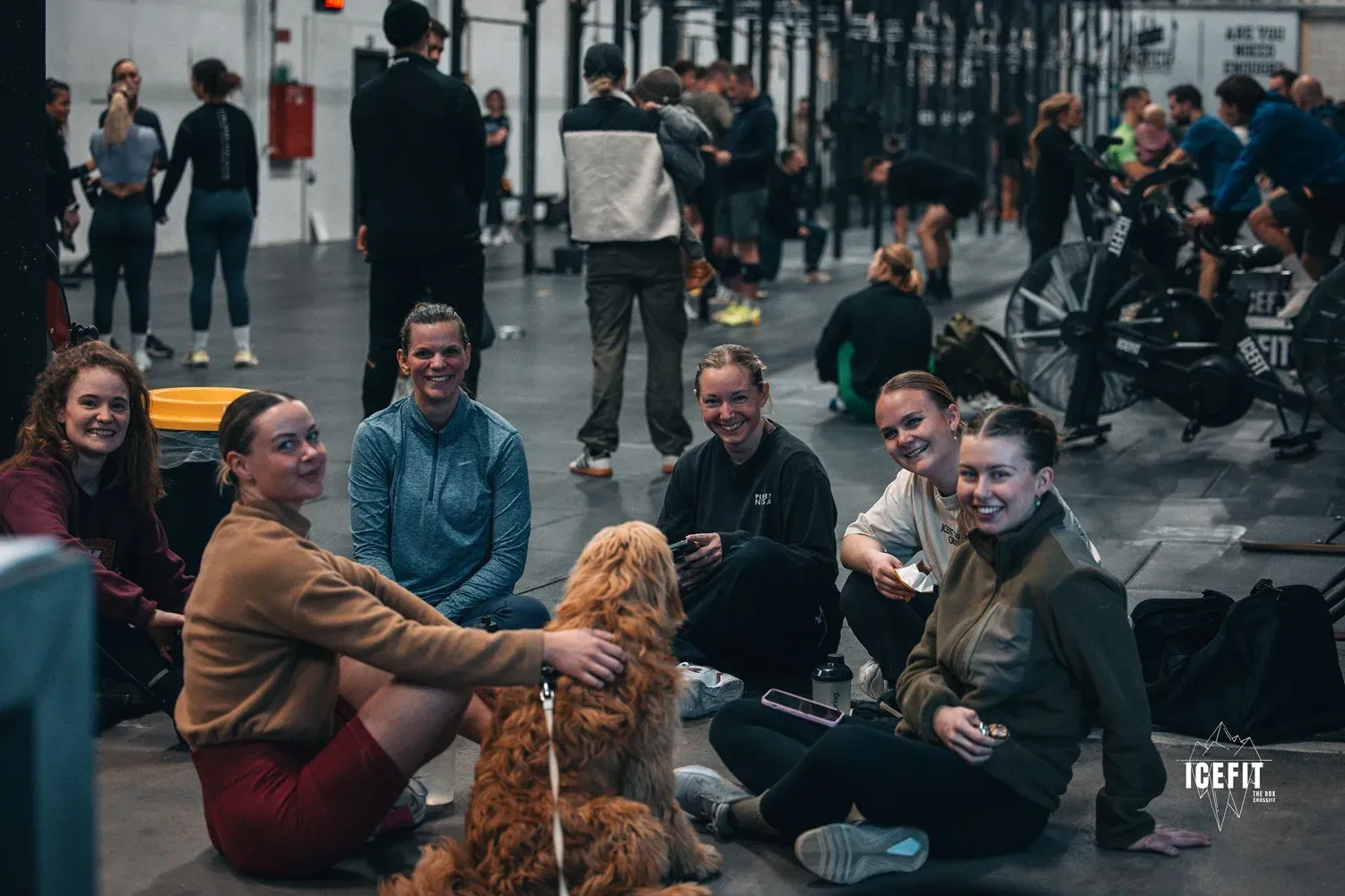 ICEFIT THE BOX CROSSFIT — crossfit-studio i Åbyhøj, Aarhus — bild 2