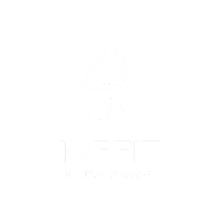 ICEFIT THE BOX CrossFit — crossfit-studio i Aarhus — 3