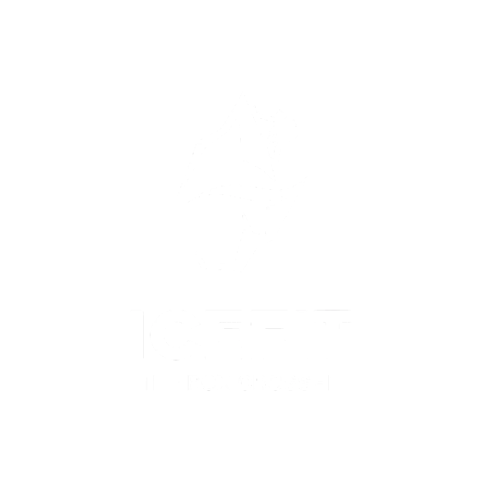ICEFIT THE BOX CROSSFIT — crossfit-studio i Aarhus — bild 4