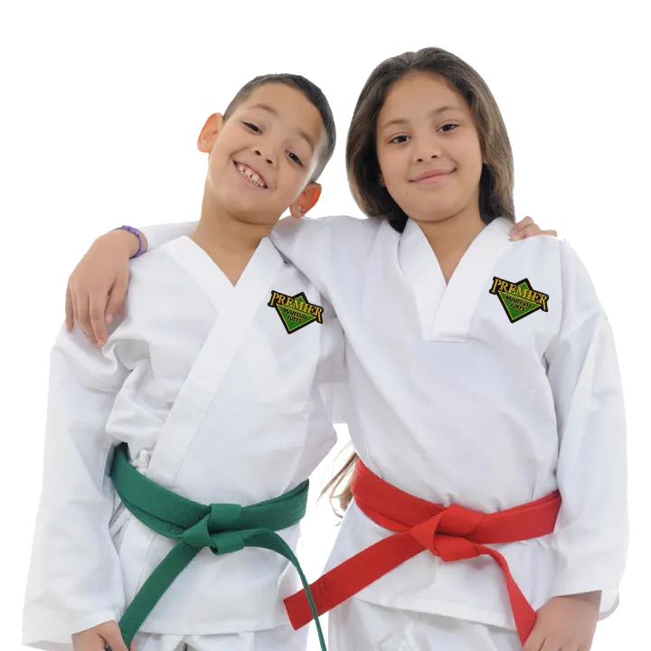 Premier Martial Arts — martial arts-studio in Richmond, London — 2