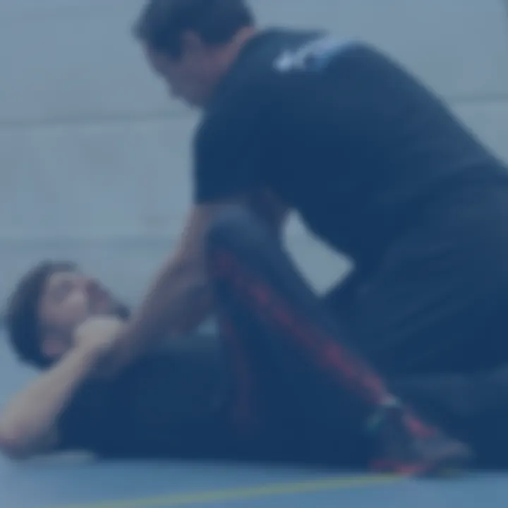 Selfdefense & Protection Apeldoorn — vechtsport-studio in Apeldoorn — 5