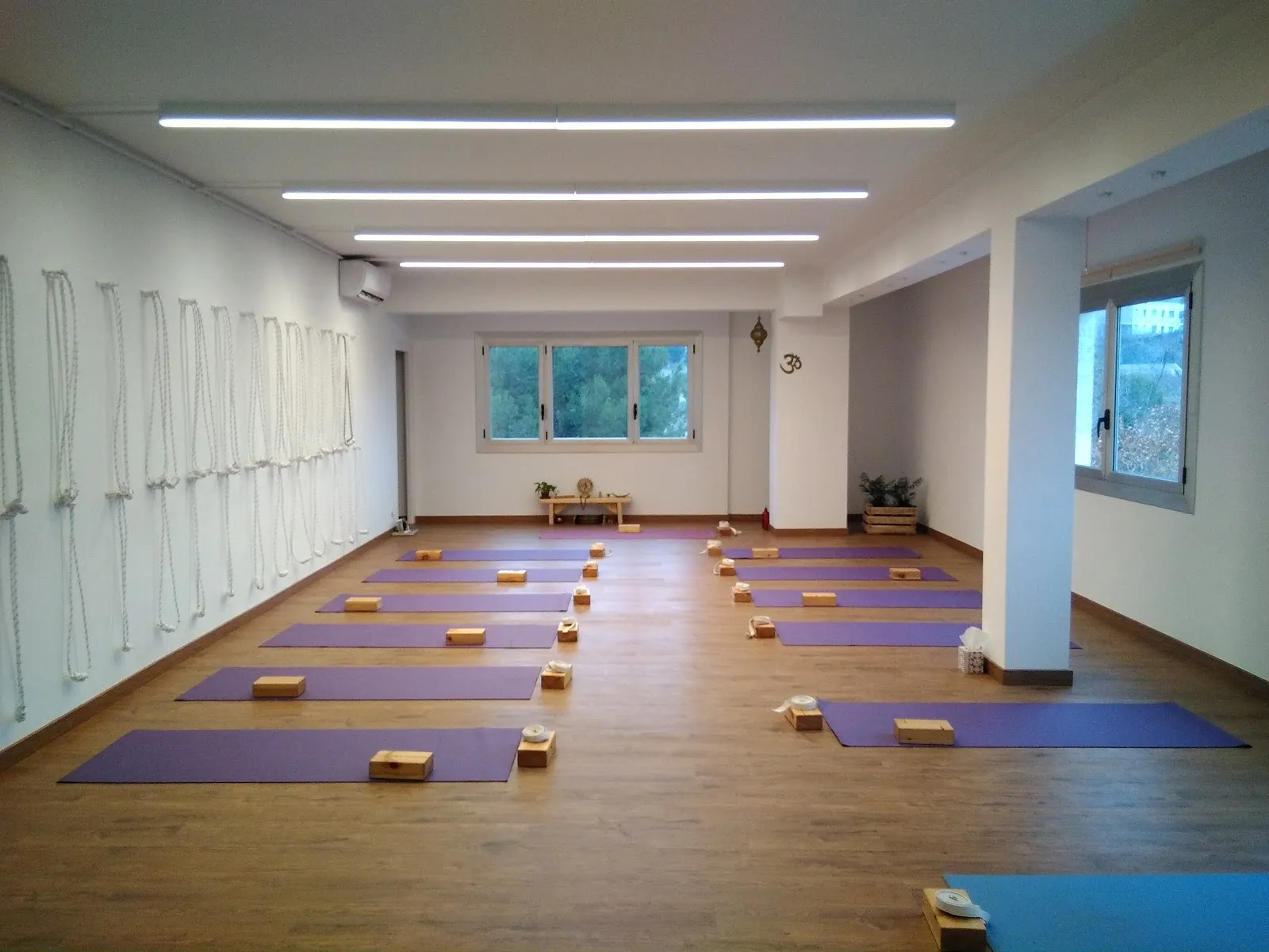 Inspira Ioga — yoga-studio en Manresa — 5