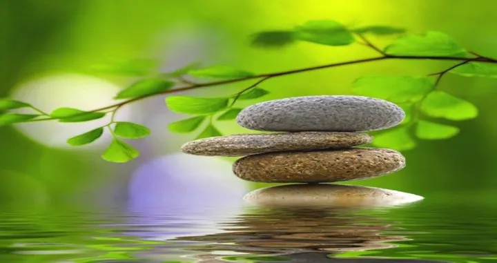 Ayur-Balance, Cathleen Larisch — Wellness in Brinckmansdorf, Rostock