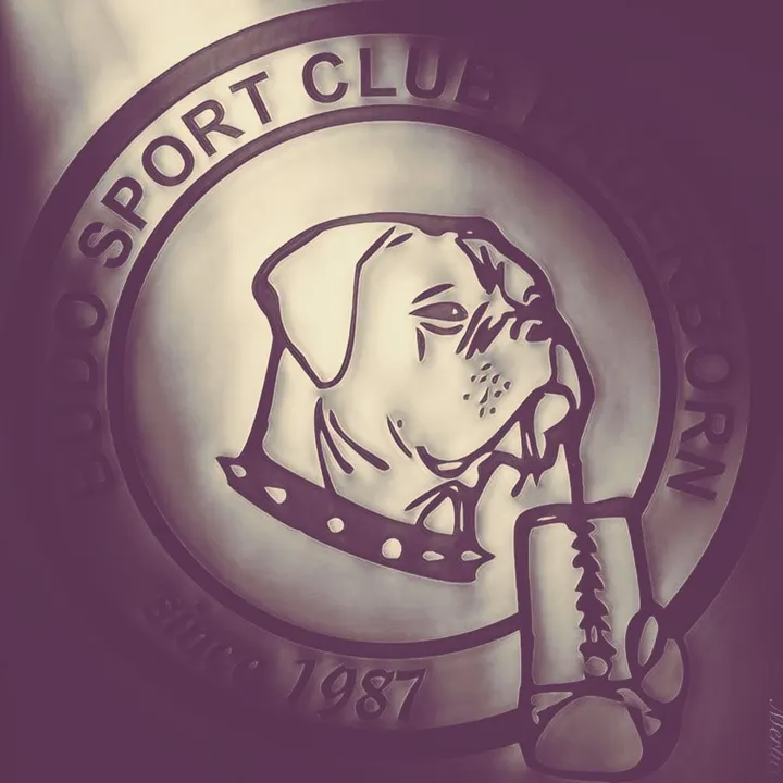 Budo Sport Club Paderborn — boxen-studio in Paderborn — 3