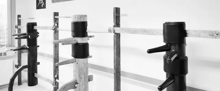 Wu Wei Wing Chun — Vechtsport in Gildenwijk, Gorinchem