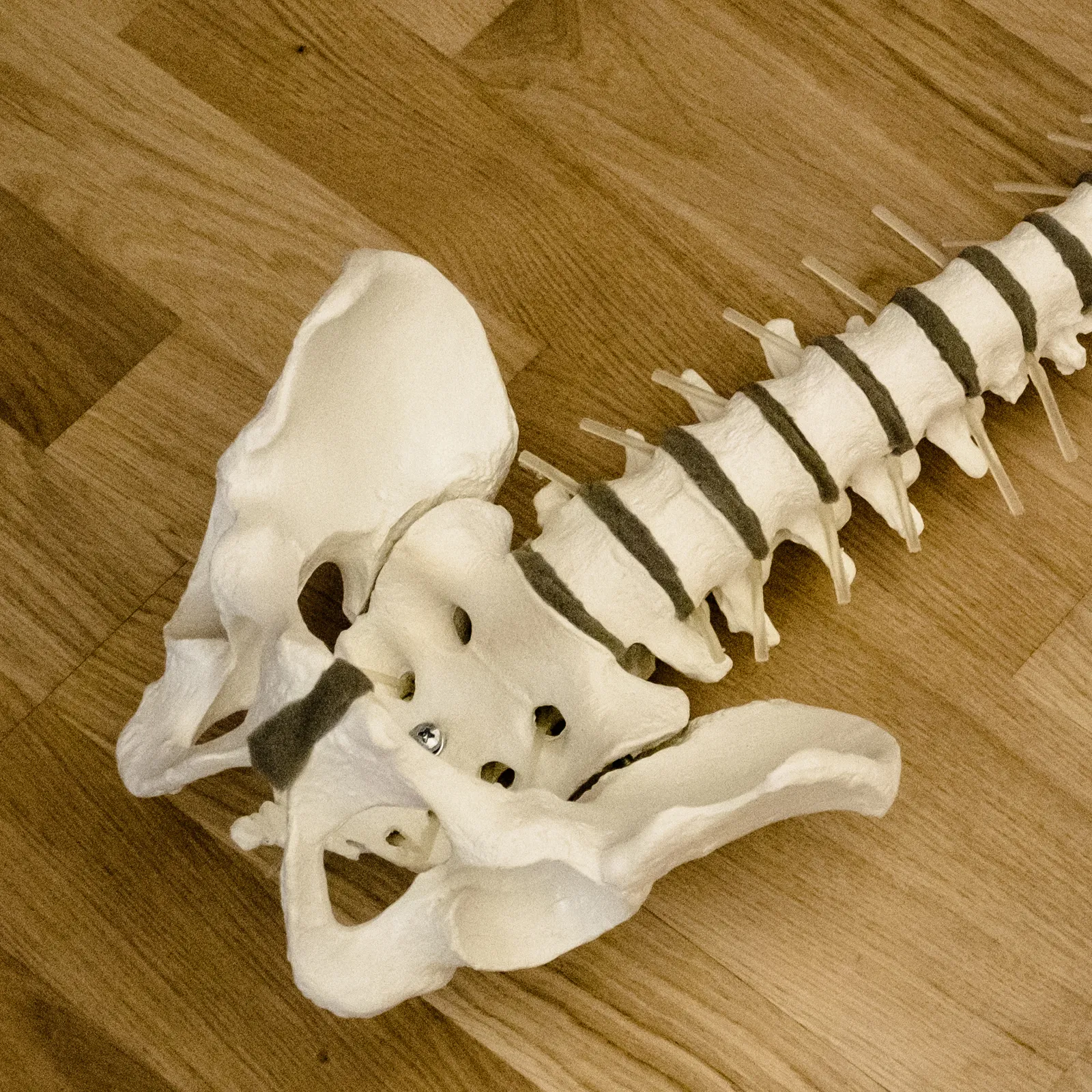 space & motion CANTIENICA-Training — pilates-studio in Friedrichshain, Berlin — 3