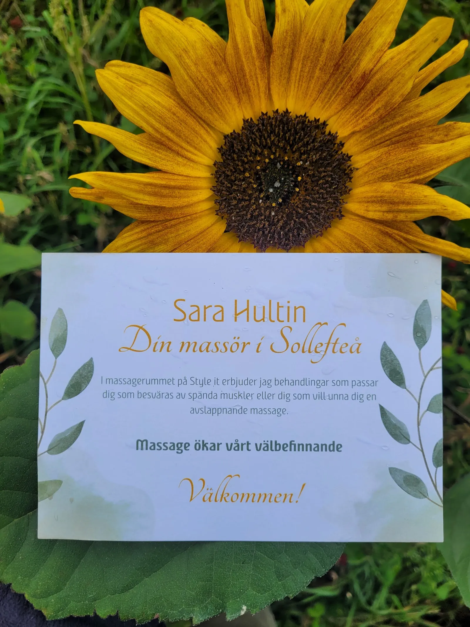 Leila Molund massage och träning — pt-studio i Sollefteå — 3