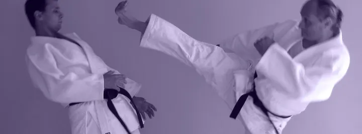 Krav Maga no Grande Porto — Artes marciais em Ramalde, Porto
