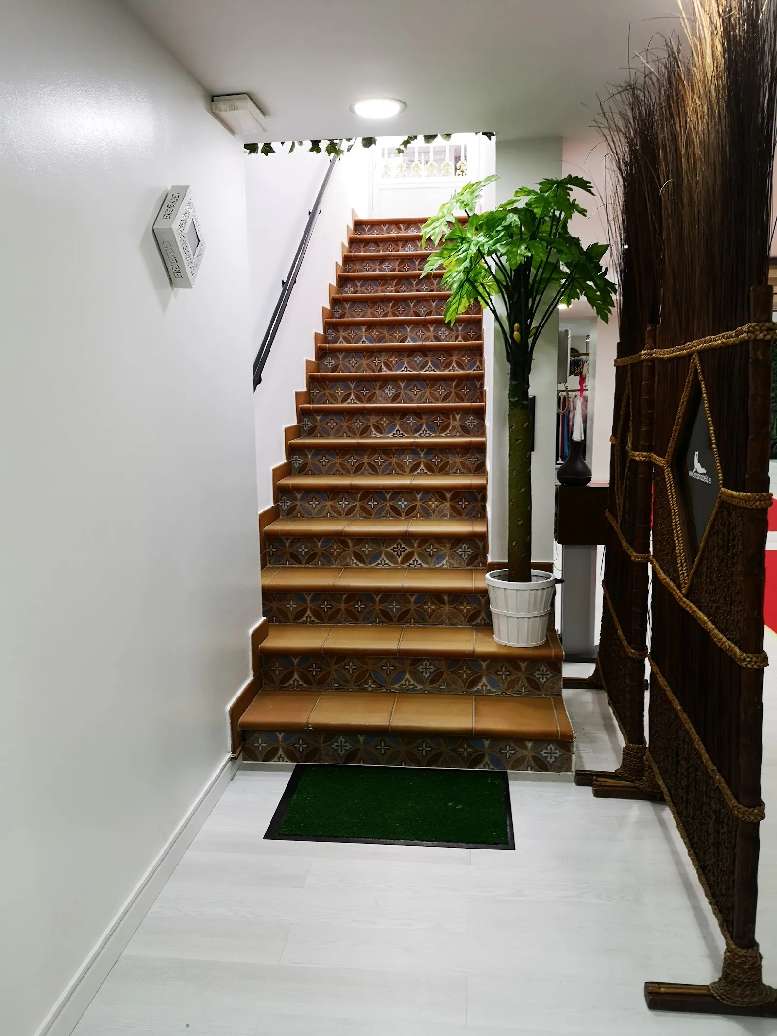 Danza Marbella — baile-studio en Casco antiguo, Marbella — 2