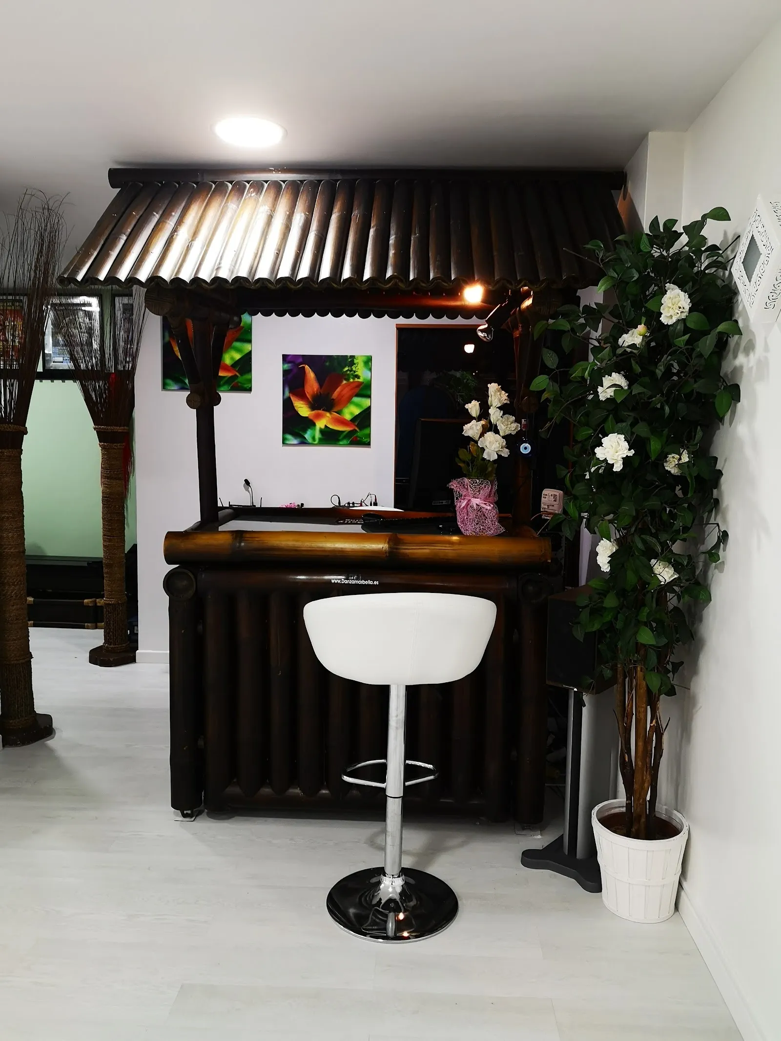 Danza Marbella — baile-studio en Marbella — 4