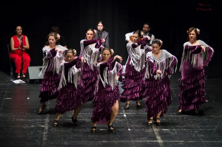 "estudios Flamencos "tu Escuela De Arte"" — baile-studio en Úbeda — 5