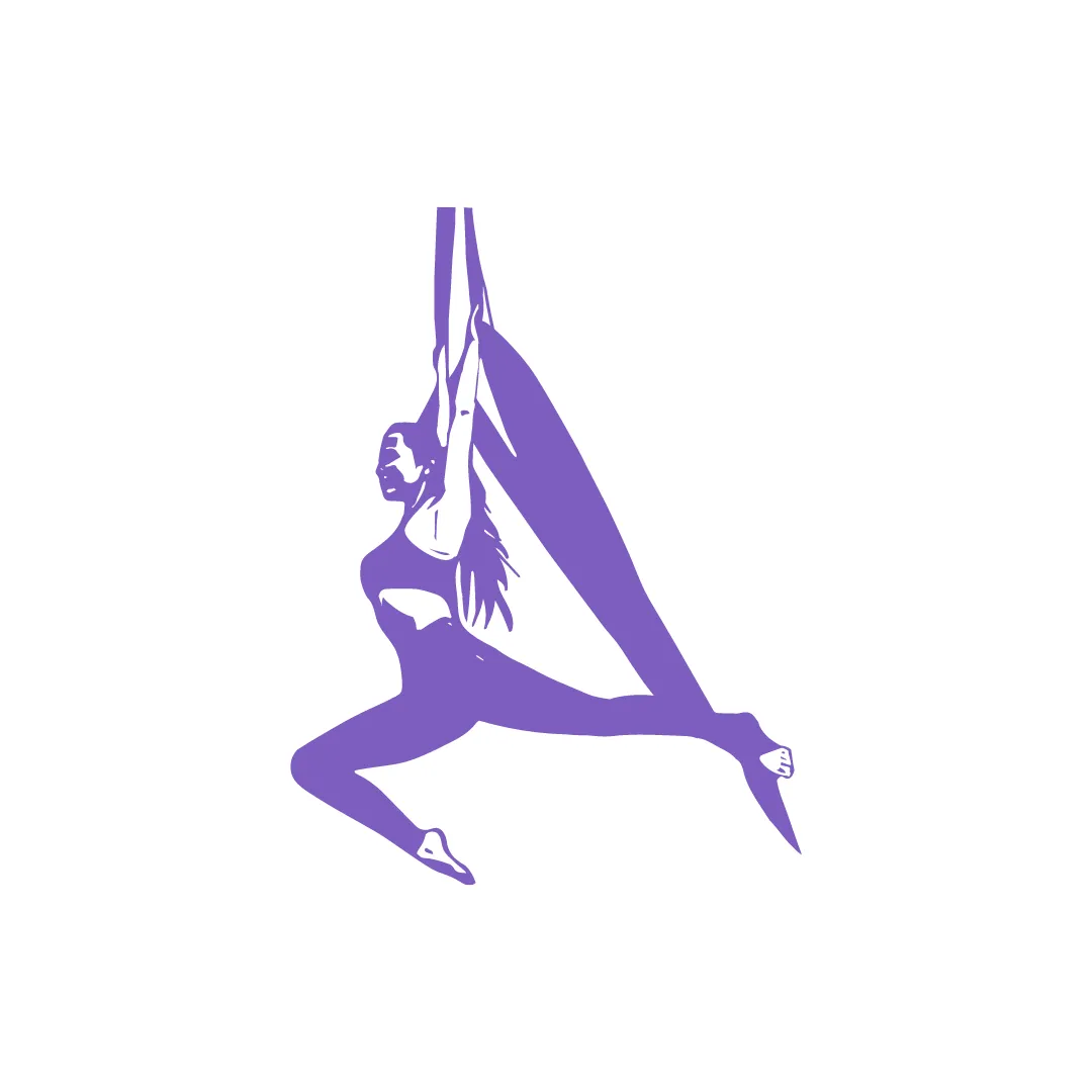 Kelly's Aerial Academy — aerial-studio in Andover — 2