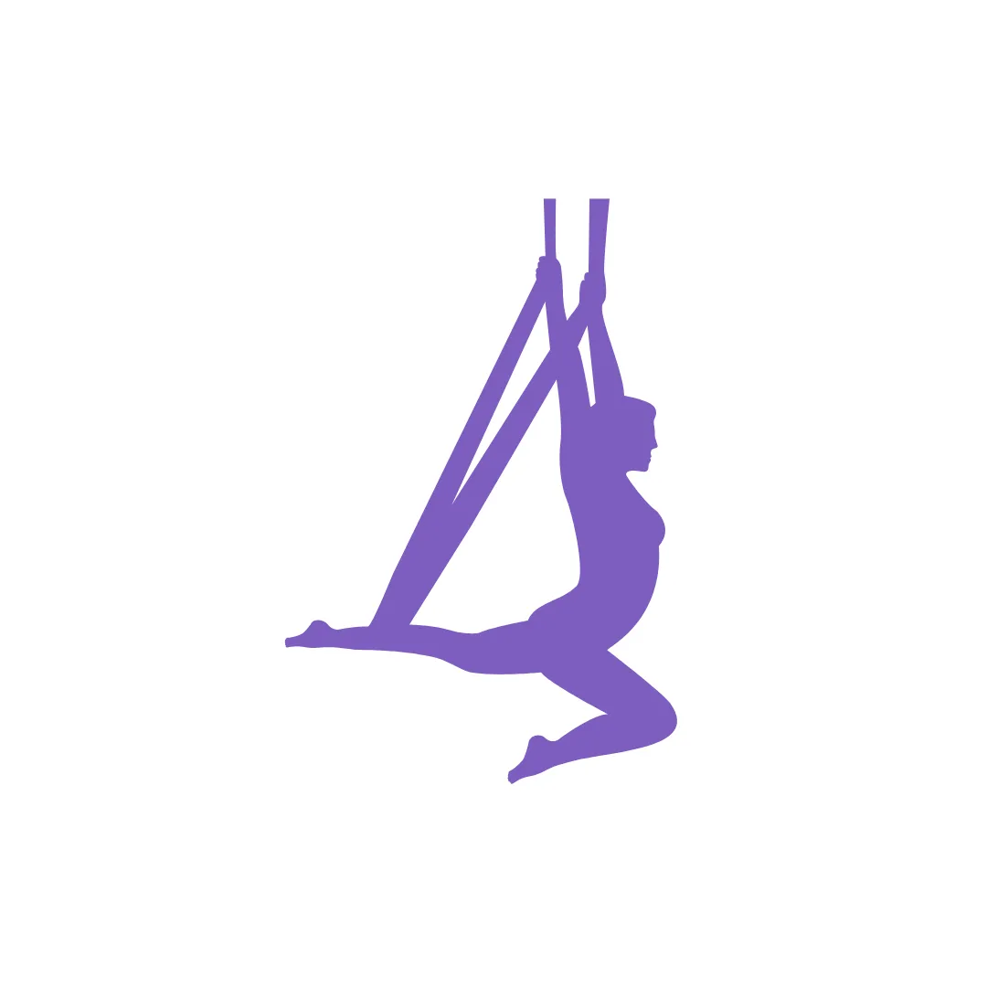 Kelly's Aerial Academy — aerial-studio in Andover — 3